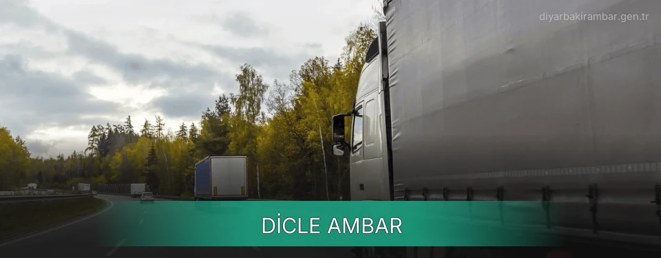 Dicle Ambar
