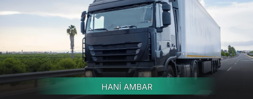 Hani Ambar