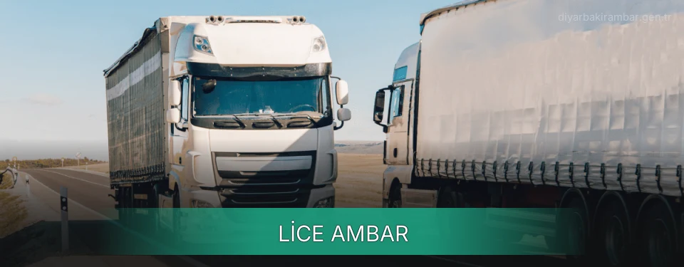 Lice Ambar Kargo